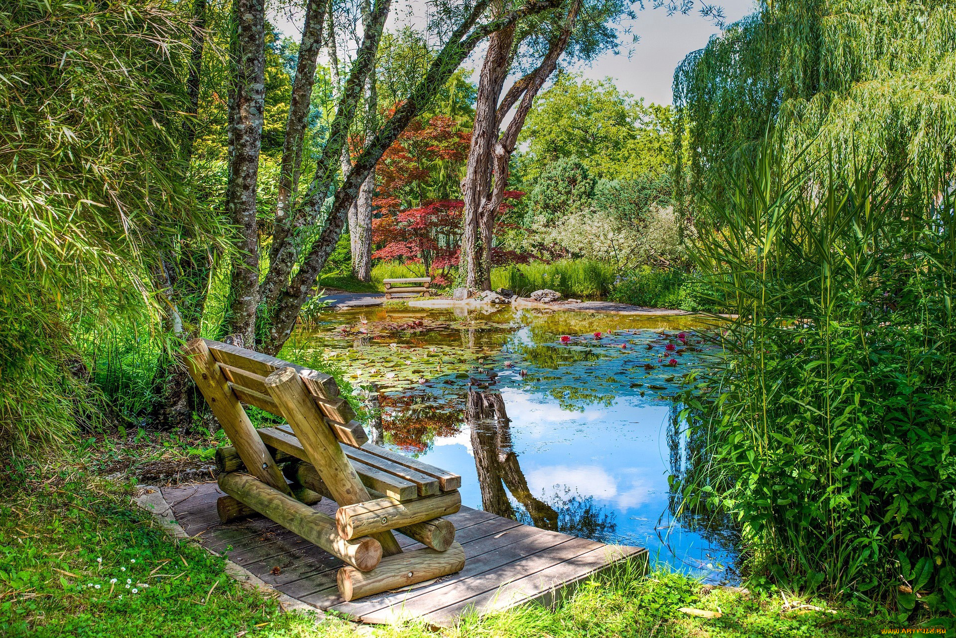 природа, парк, пруд, скамейка