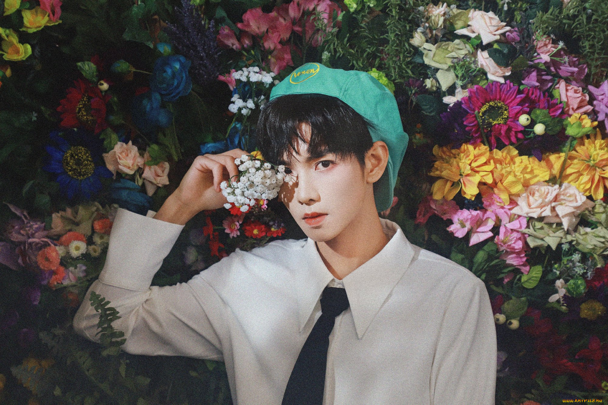 мужчины, zheng, fan, xing, чжэн, фаньсин