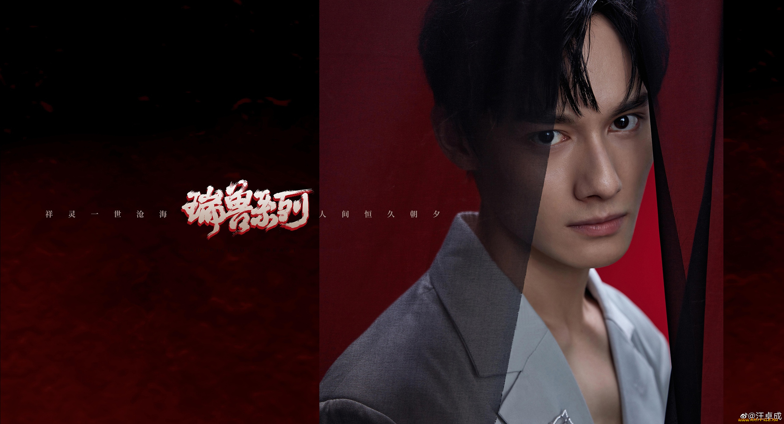 мужчины, wang, zhuocheng, wang, zhuocheng, ван, чжочэн