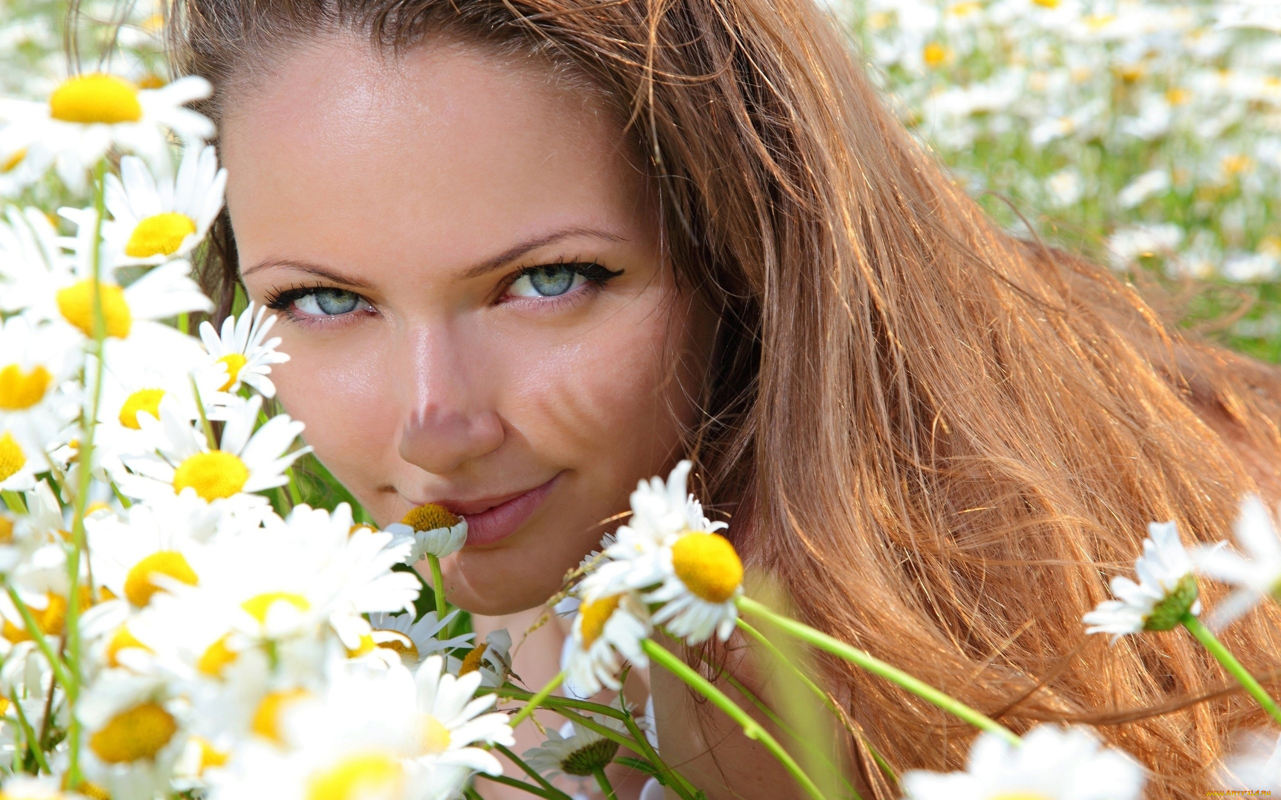 девушки, -, лица, , портреты, ромашки