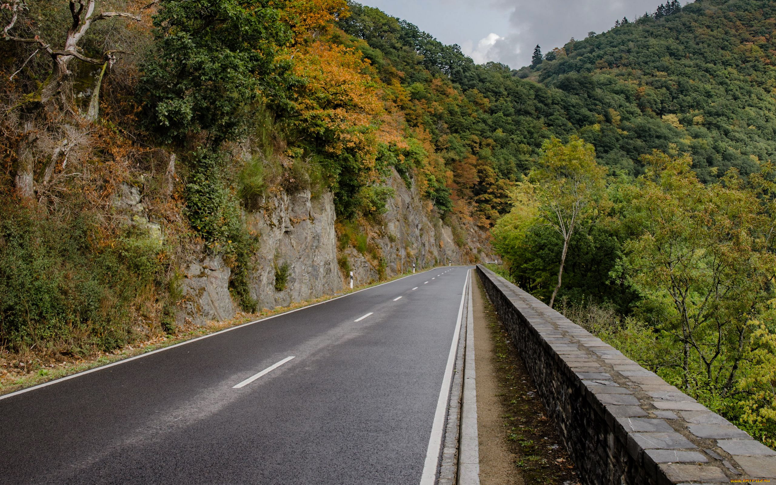 природа, дороги, шоссе