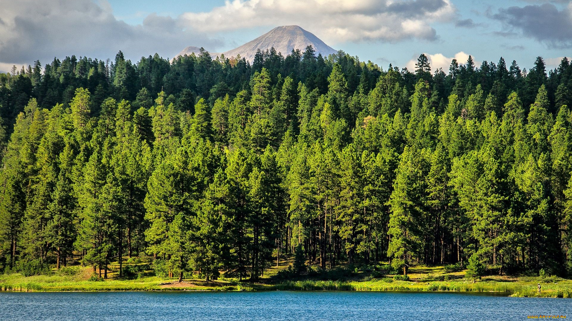 природа, реки, озера, озеро, лес, гора, облака