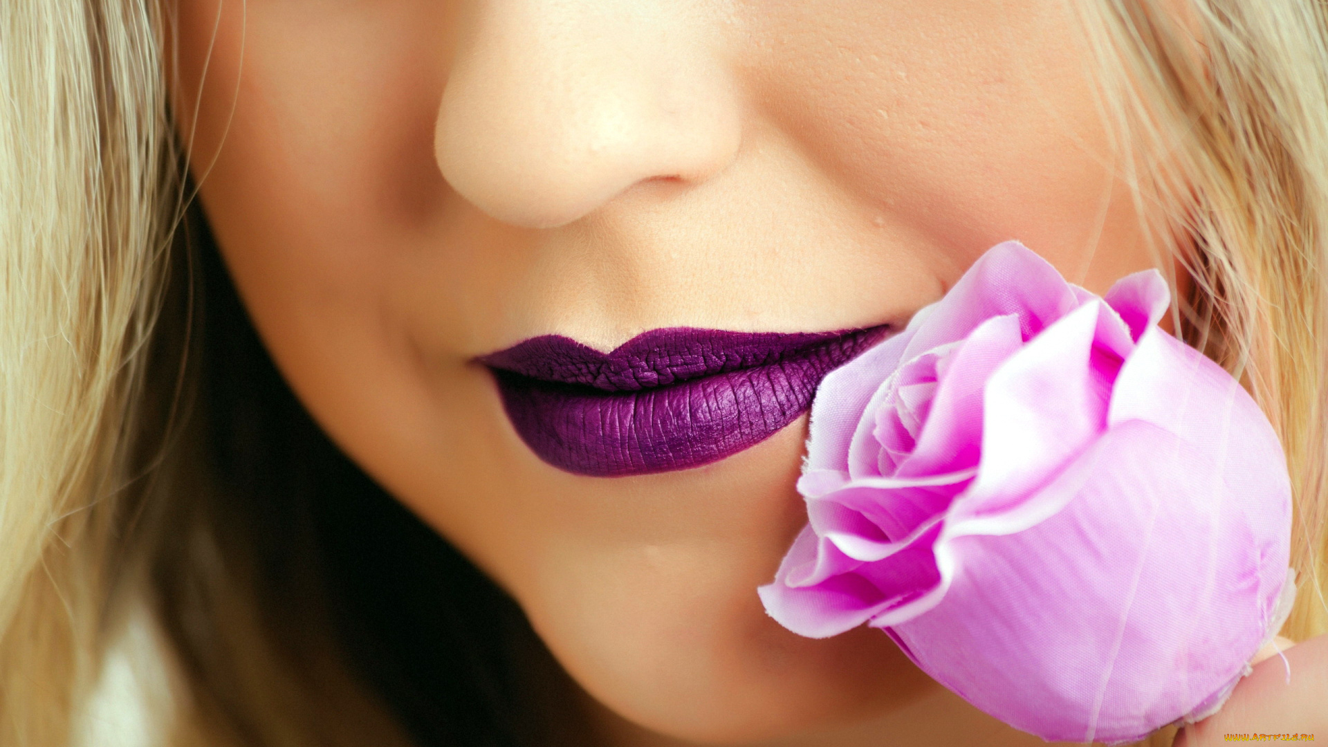 разное, губы, роза, помада