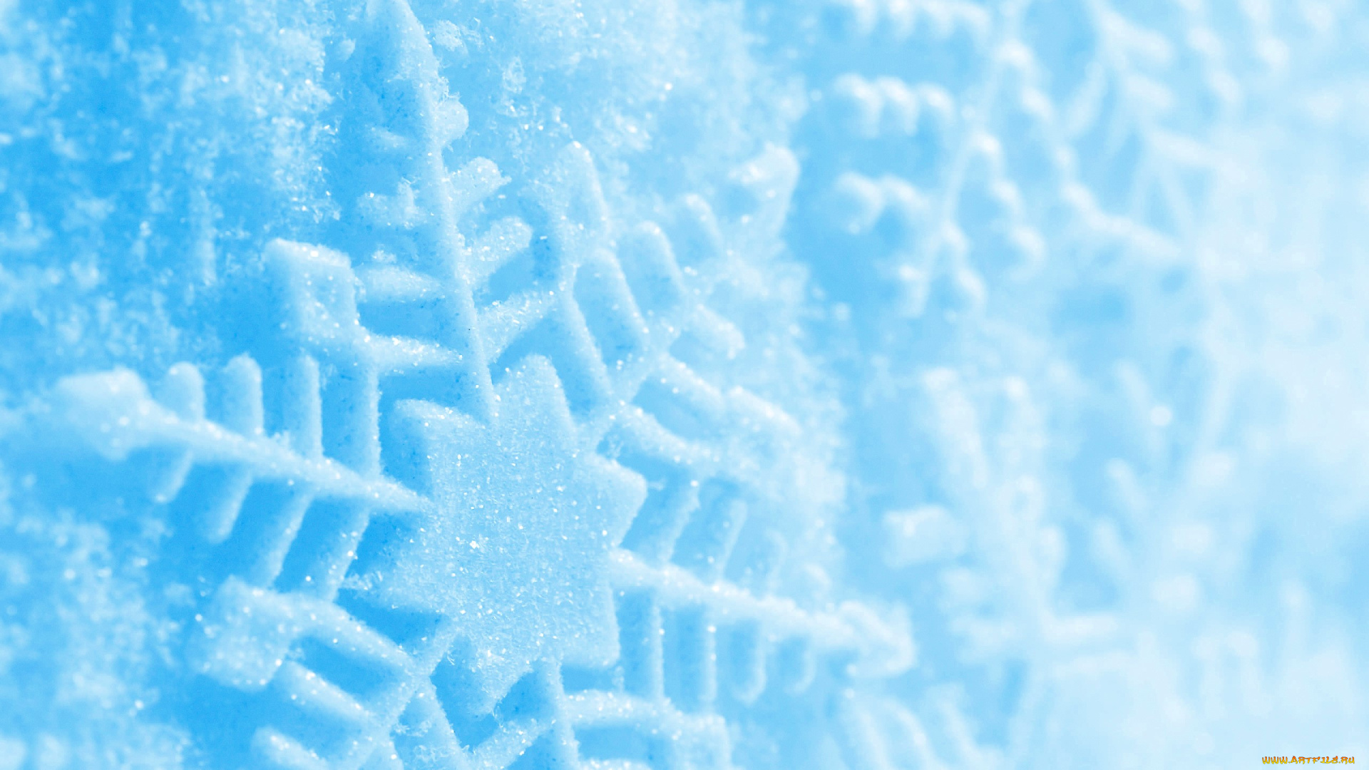 природа, макро, снег, снежинка