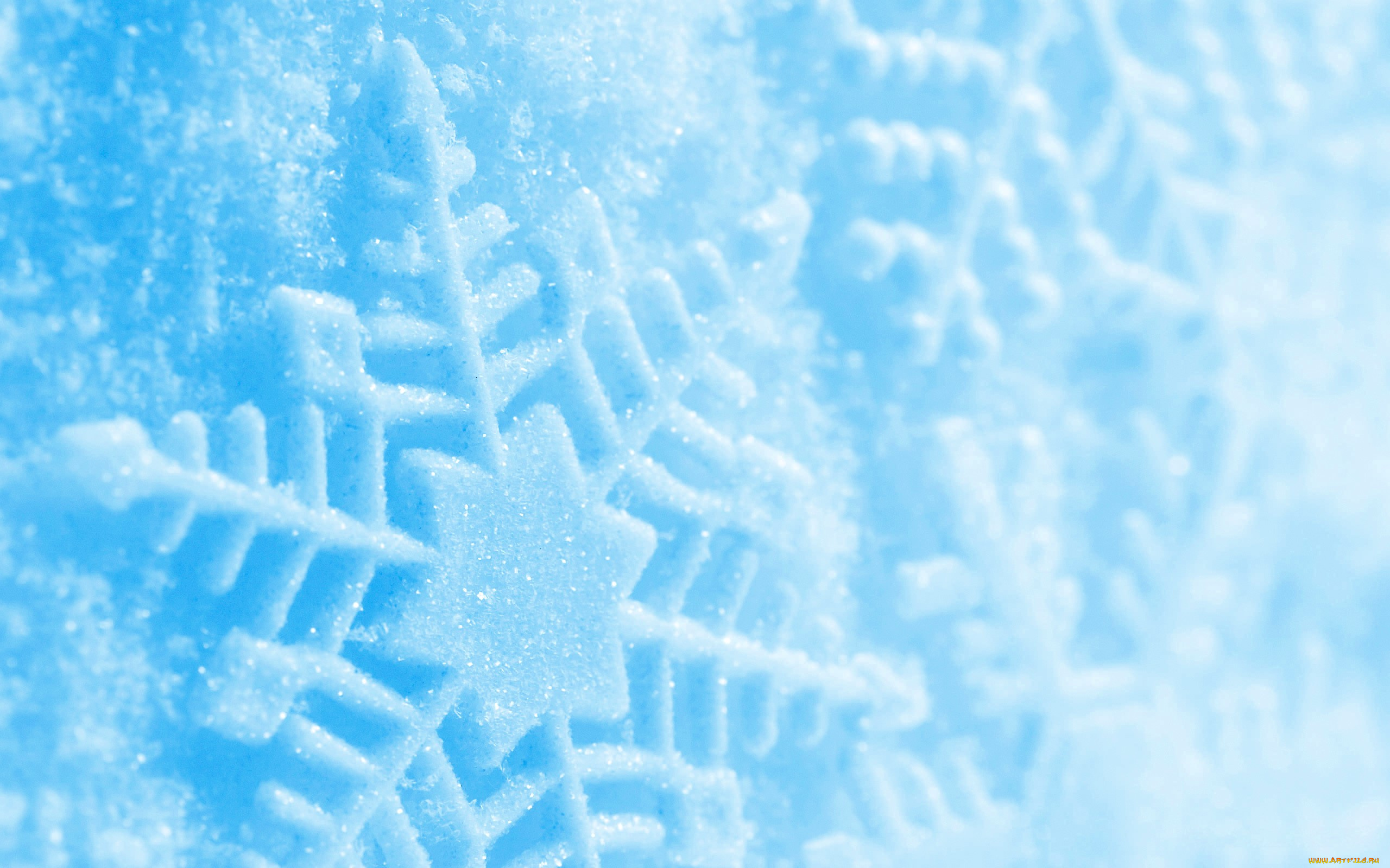 природа, макро, снег, снежинка