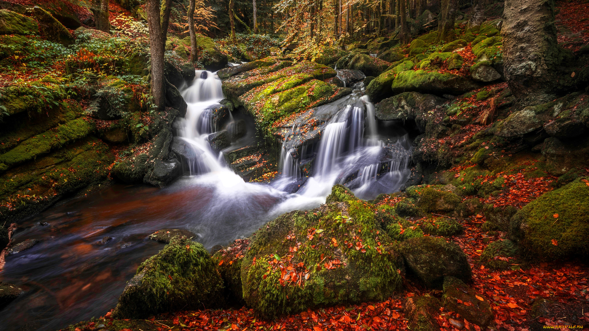 природа, водопады, лес, деревья, листья, осень, ручей, камни, мох