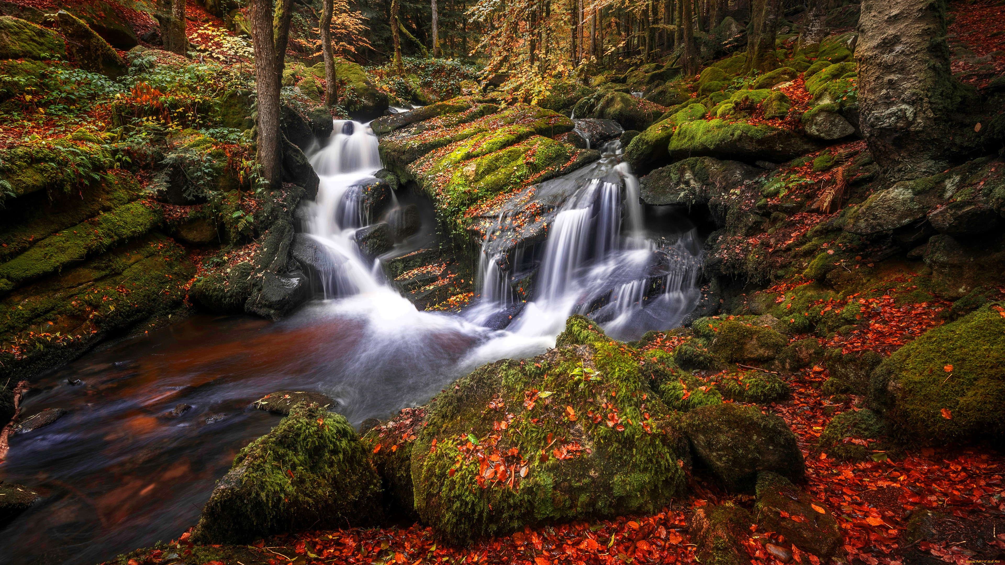 природа, водопады, лес, деревья, листья, осень, ручей, камни, мох