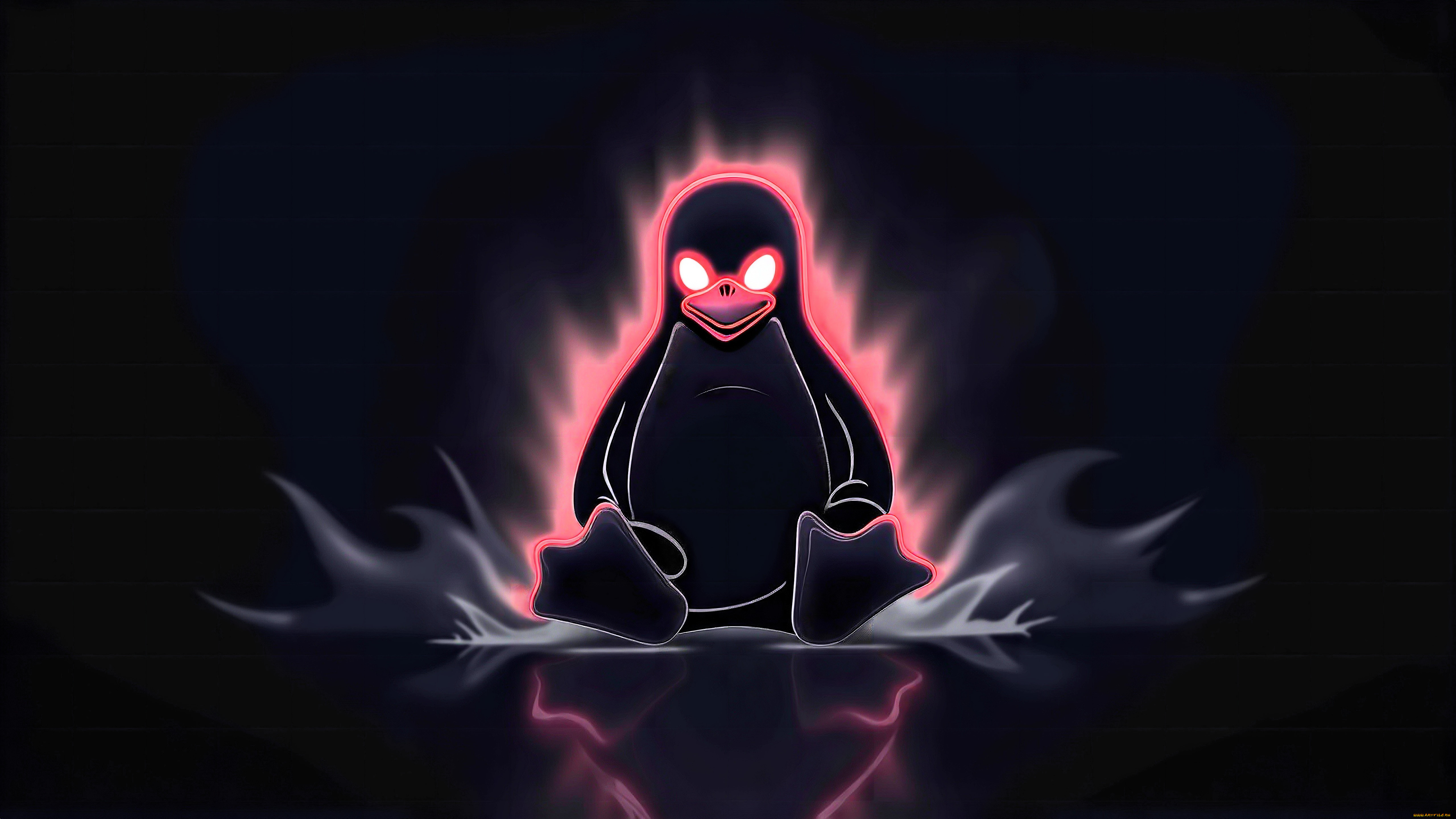 компьютеры, linux, пингвин, сияние