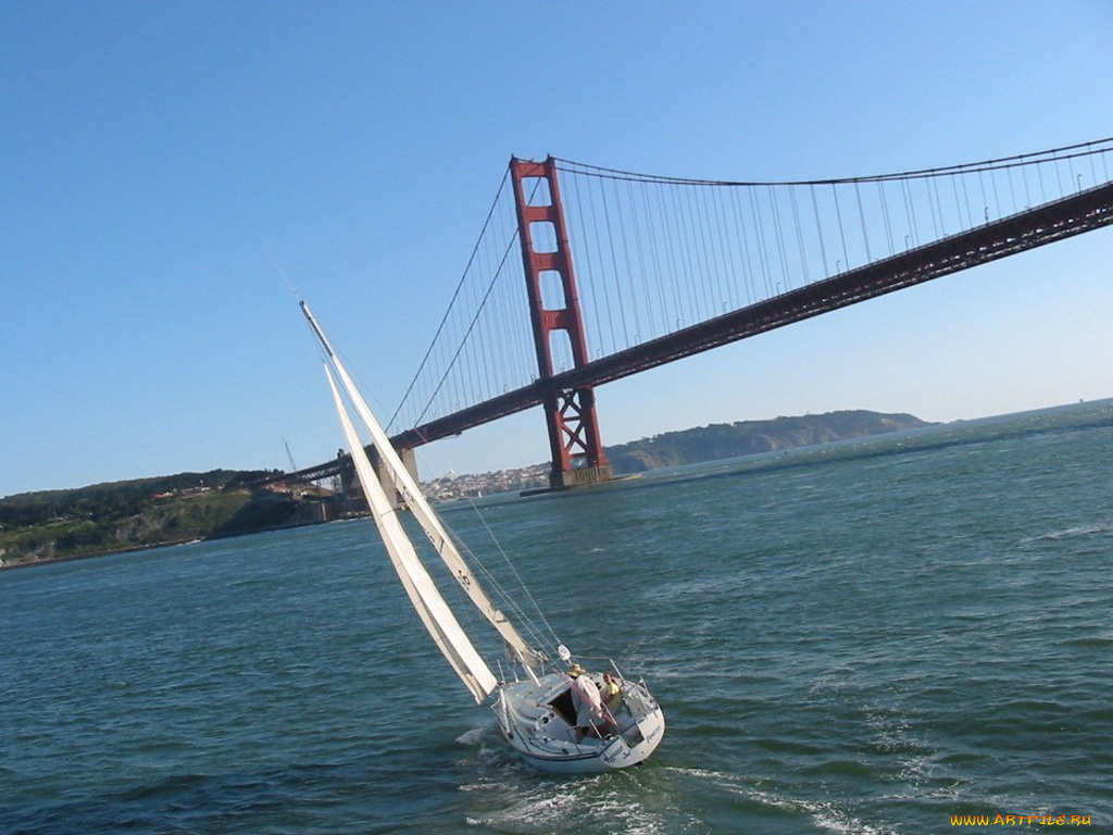 корабли, Яхты