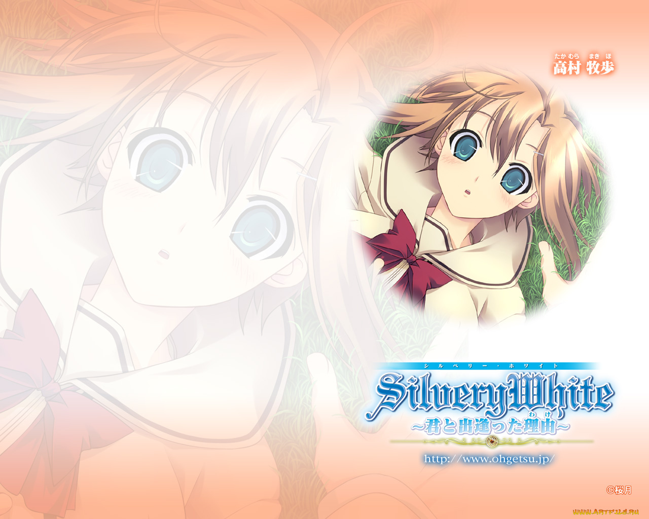 silverywhite, аниме, silvery, white