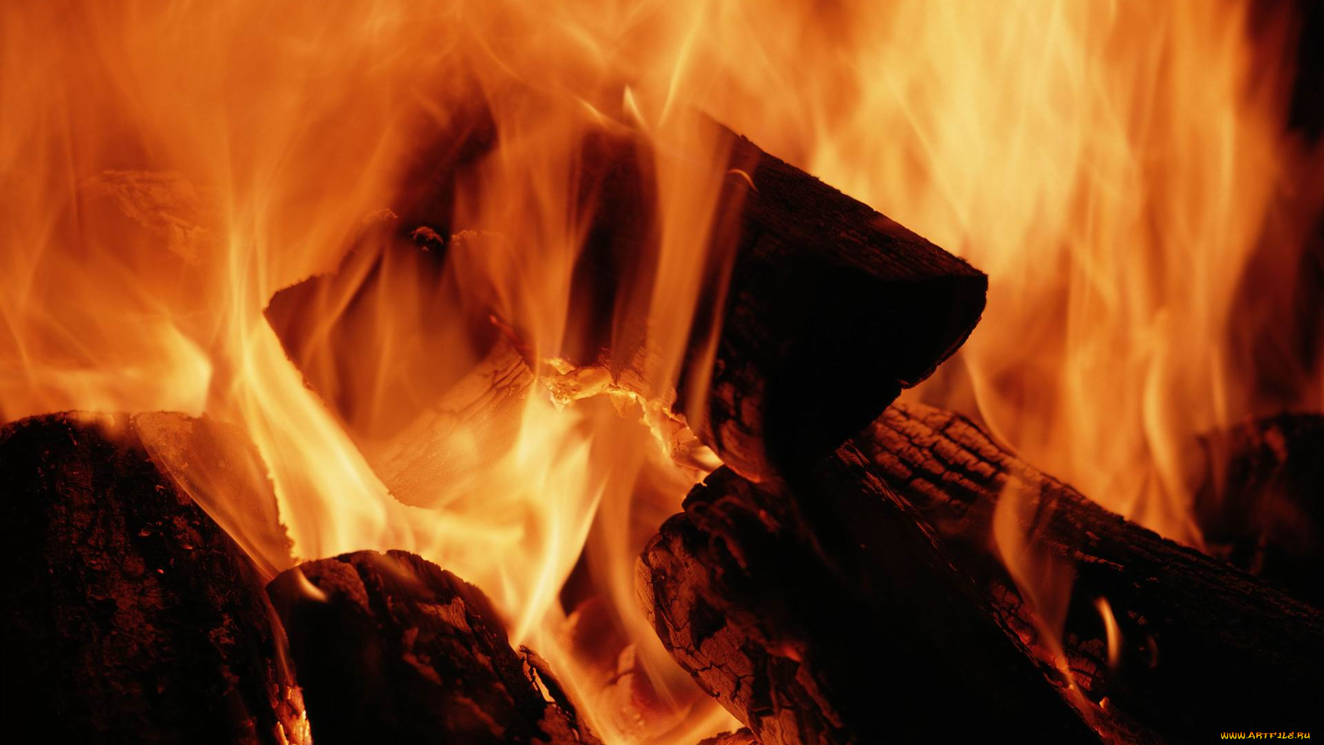 природа, огонь