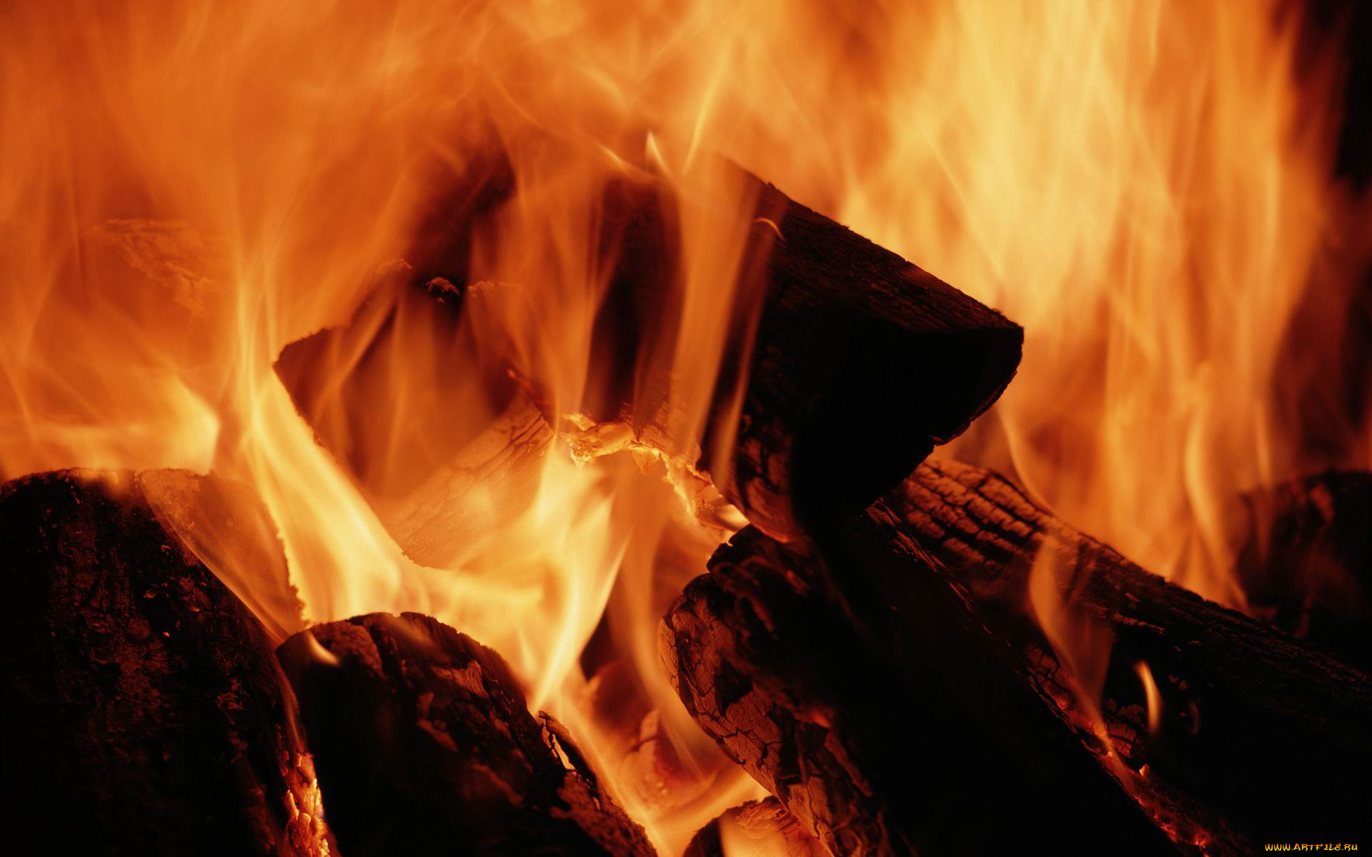 природа, огонь