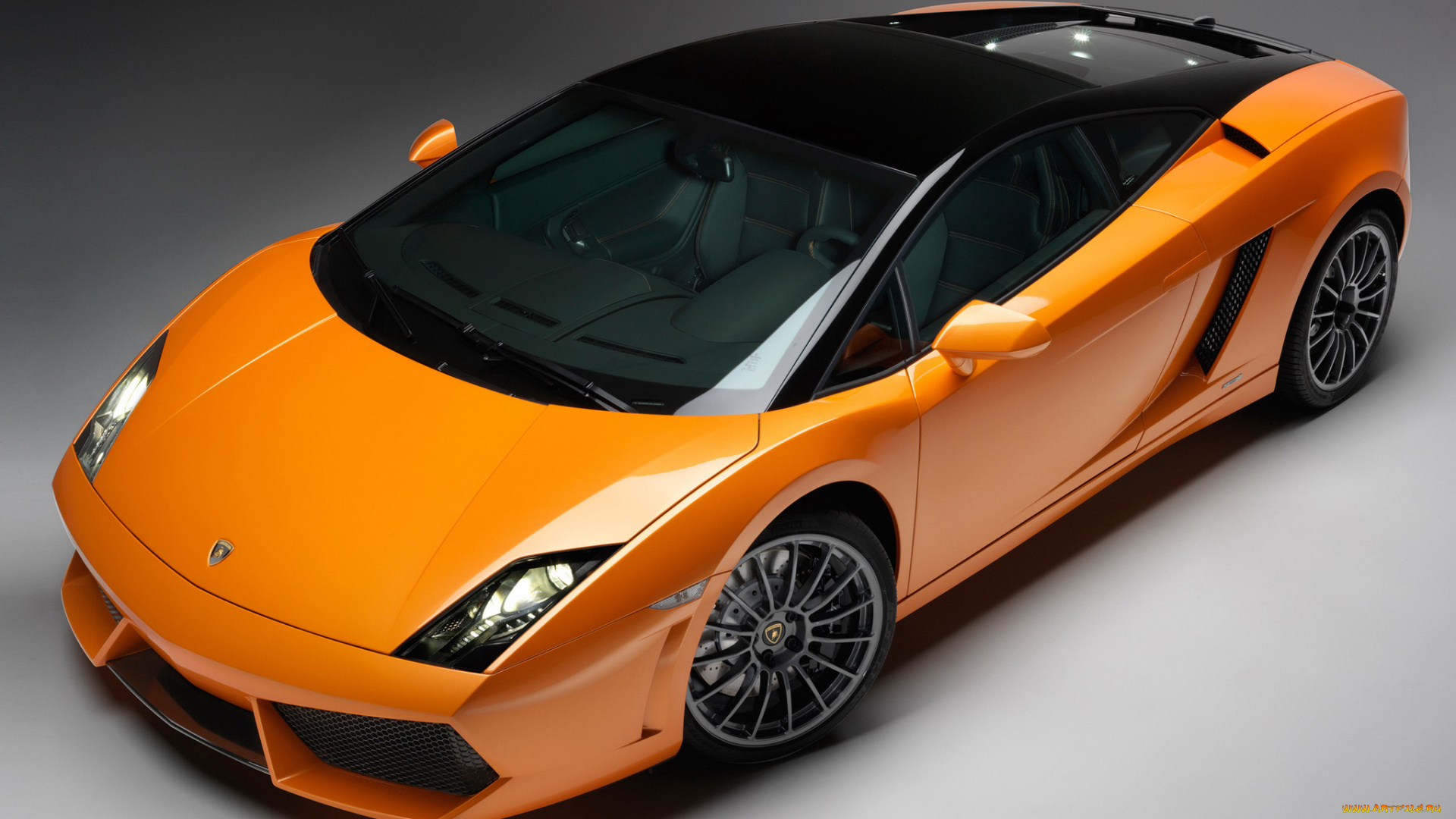 автомобили, lamborghini, gallardo, bicolore