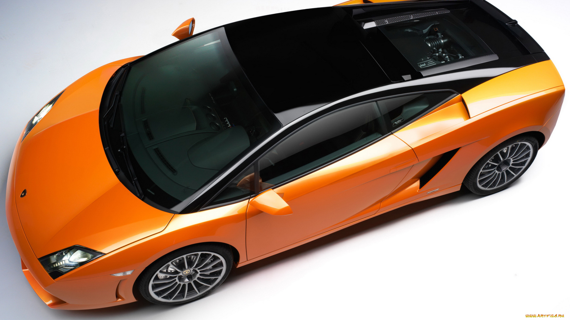 автомобили, lamborghini, gallardo, bicolore