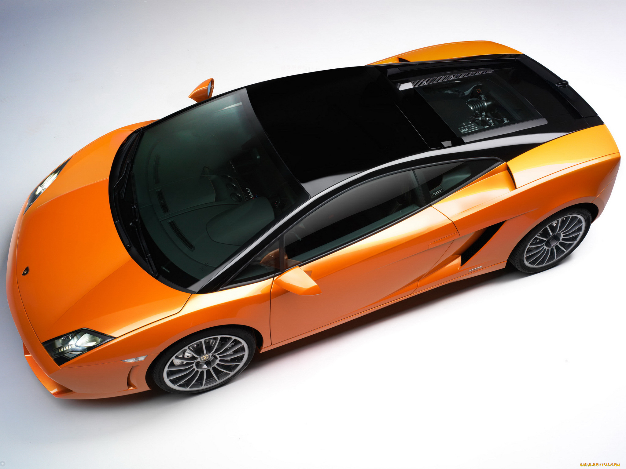 автомобили, lamborghini, gallardo, bicolore