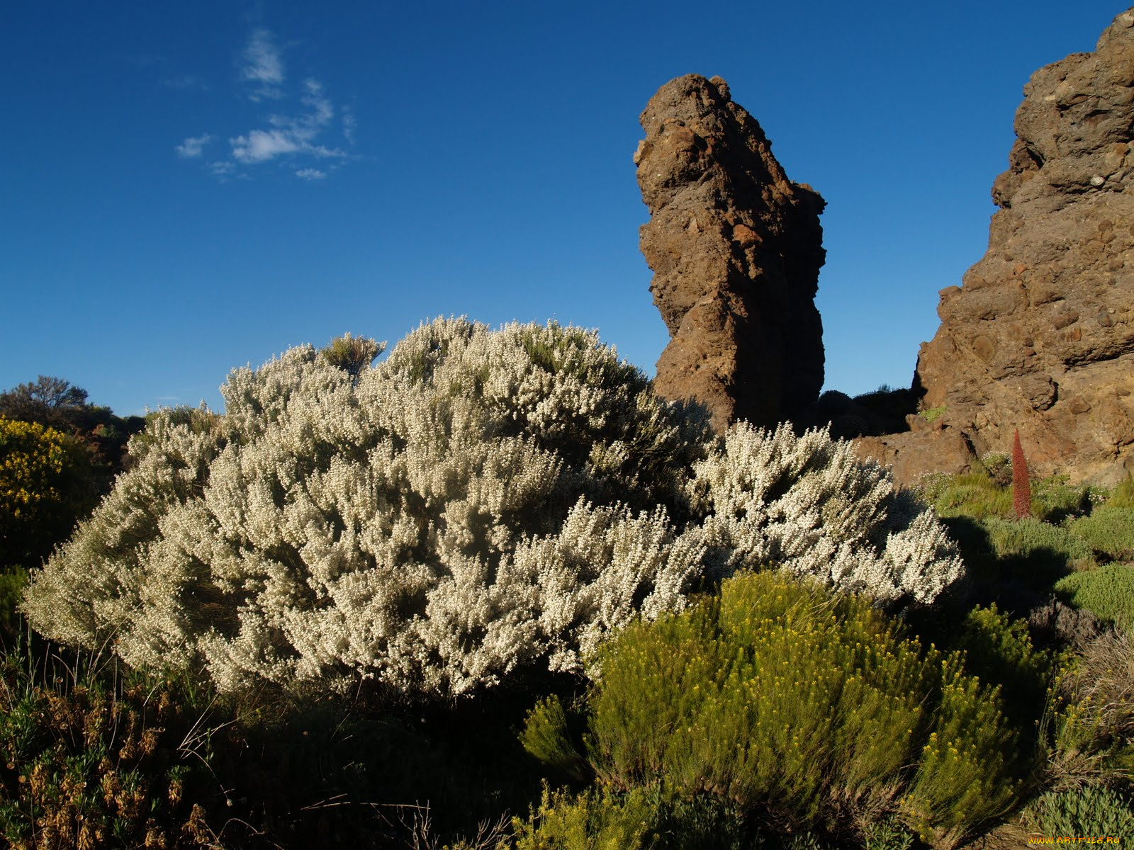 las, canadas, del, teide, природа, горы, тенерифе
