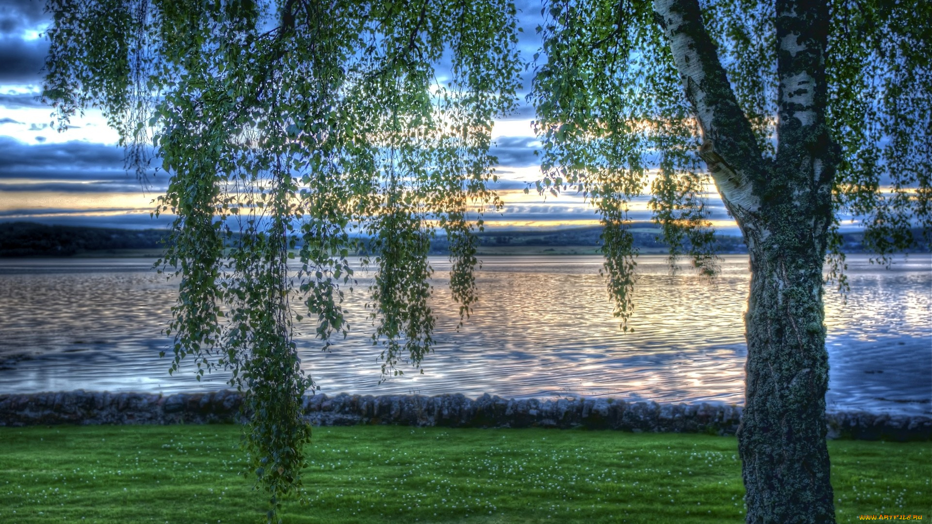 природа, деревья, вечер, береза, вода