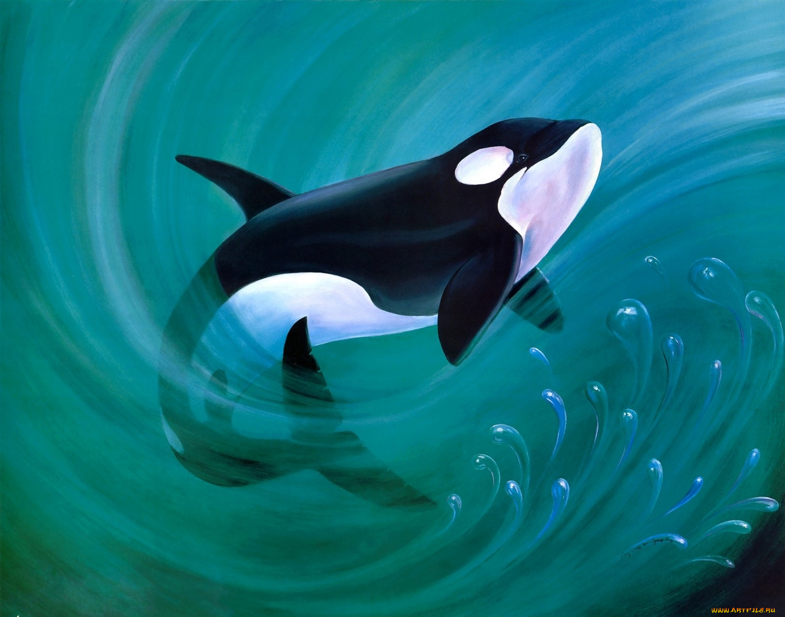 рисованные, douglas, jessup, воды, океана, косатка, w, , кувшин, алексей, антонов, натюрморт, розы, бокал