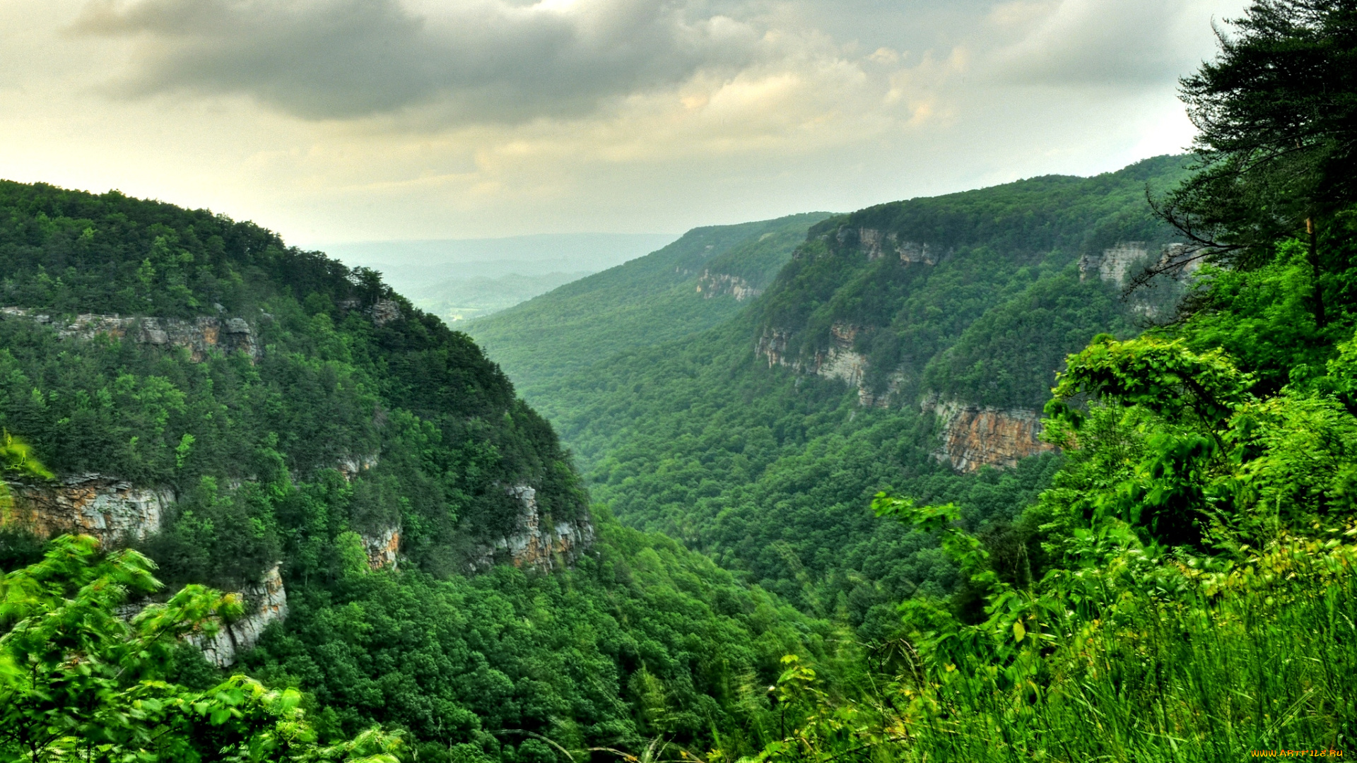 природа, горы, зелень