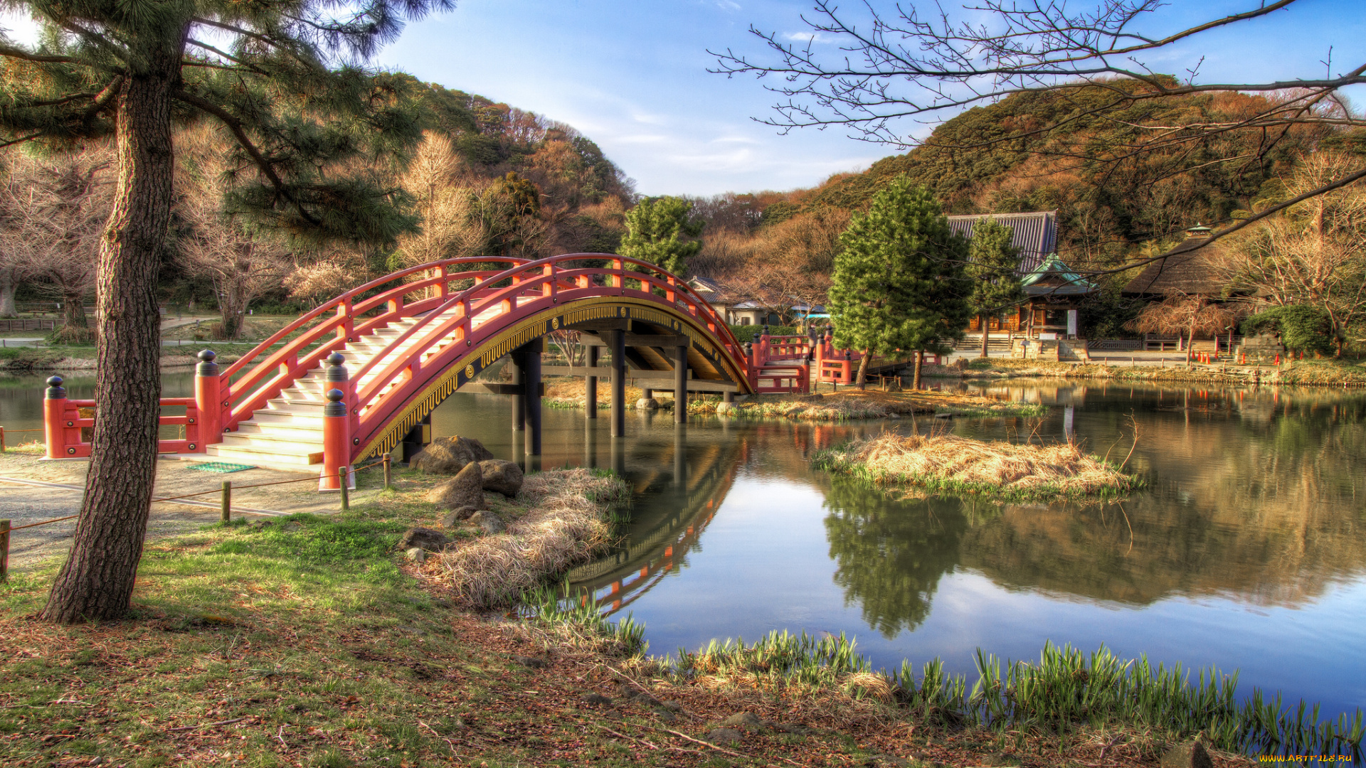 природа, парк, речка, мостик, растительность