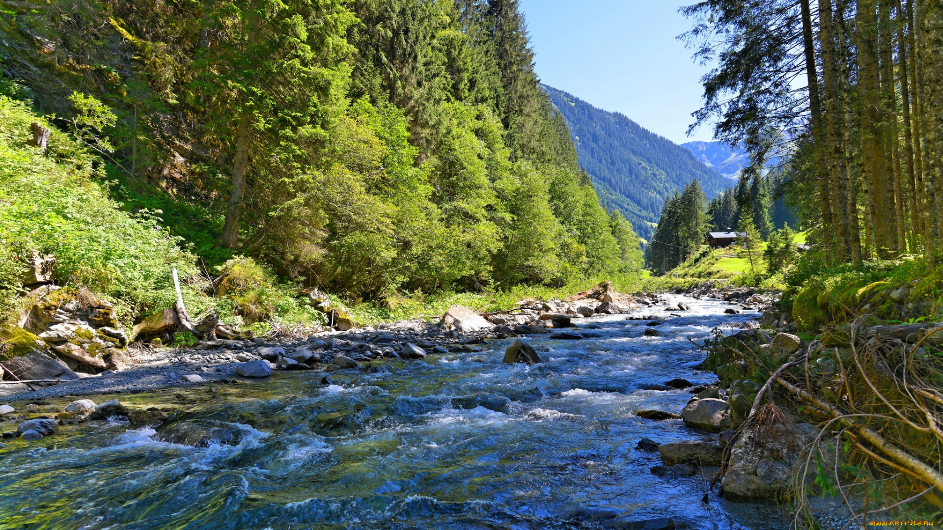 природа, реки, озера, лес, вода