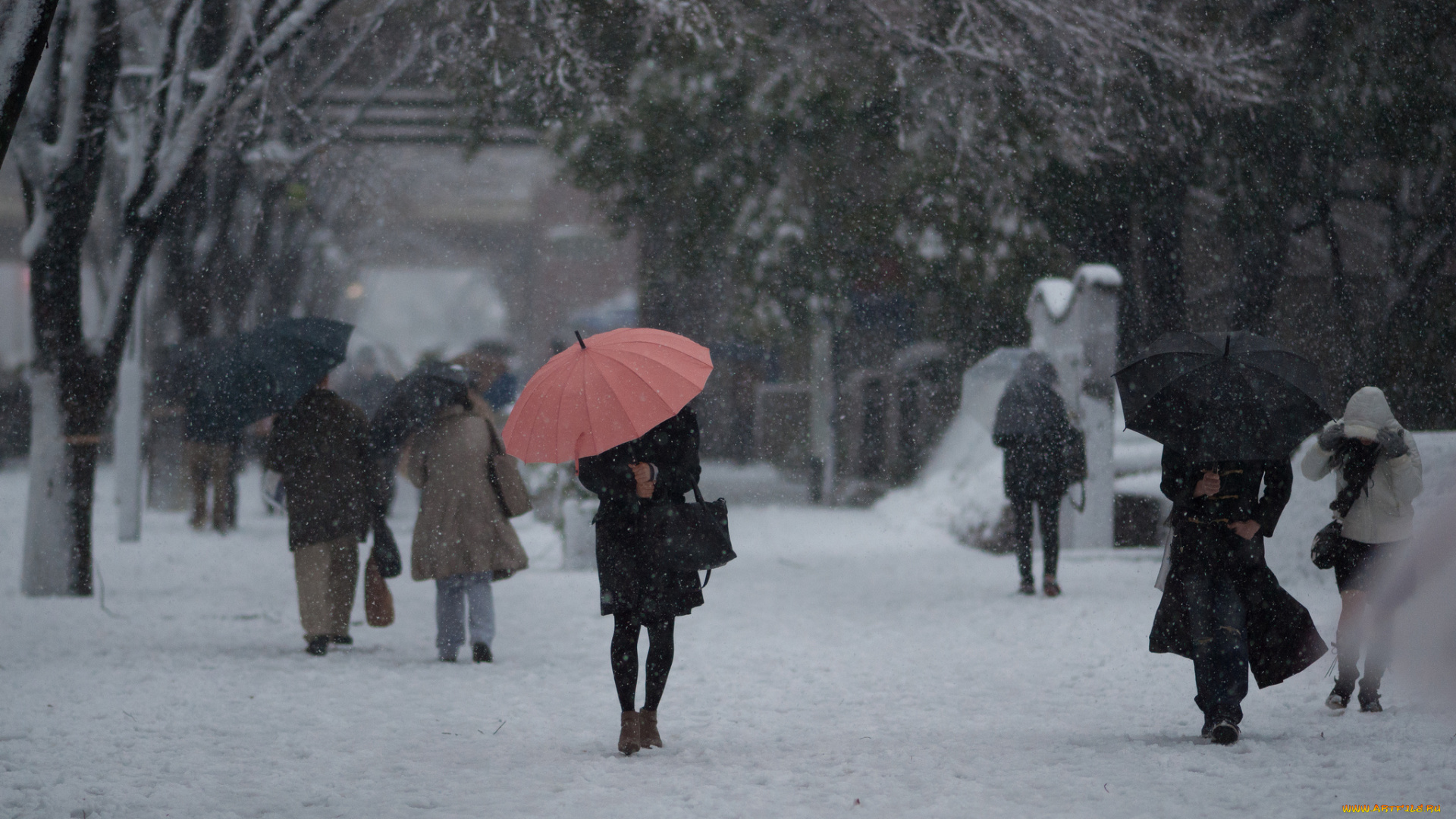 разное, люди, снег
