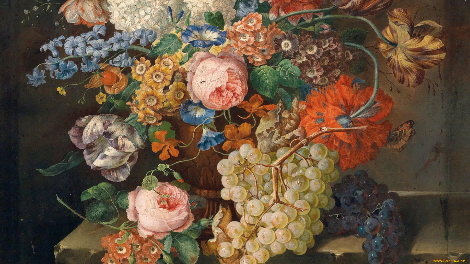 рисованные, цветы, фрукты