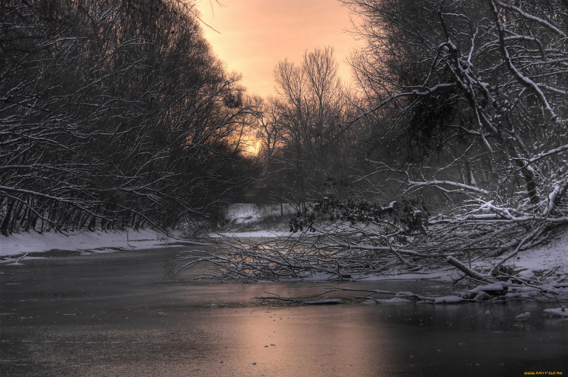 природа, реки, озера, сумерки, закат, река, деревья, ветки