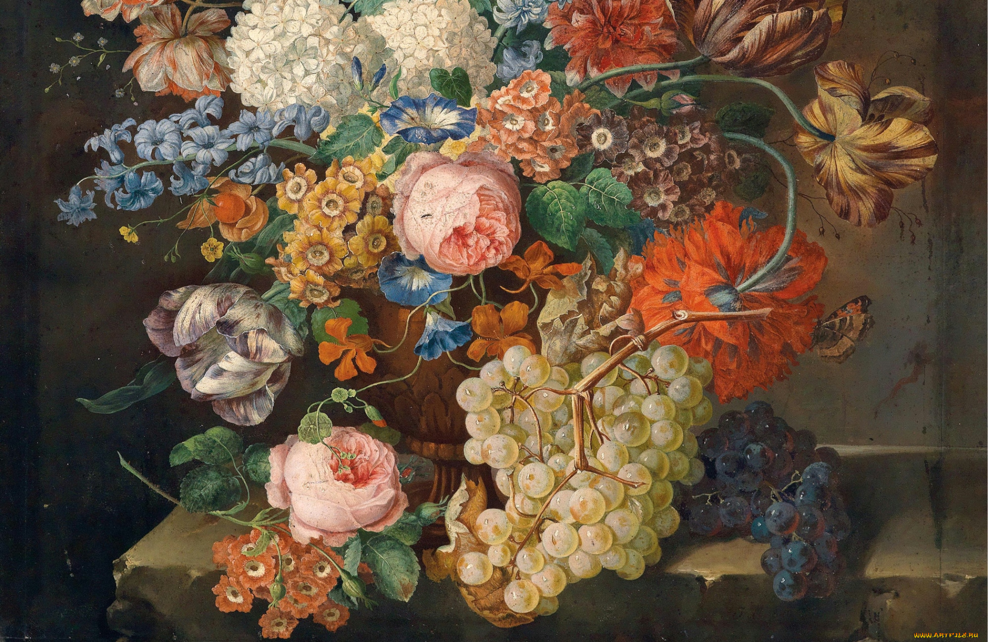 рисованные, цветы, фрукты