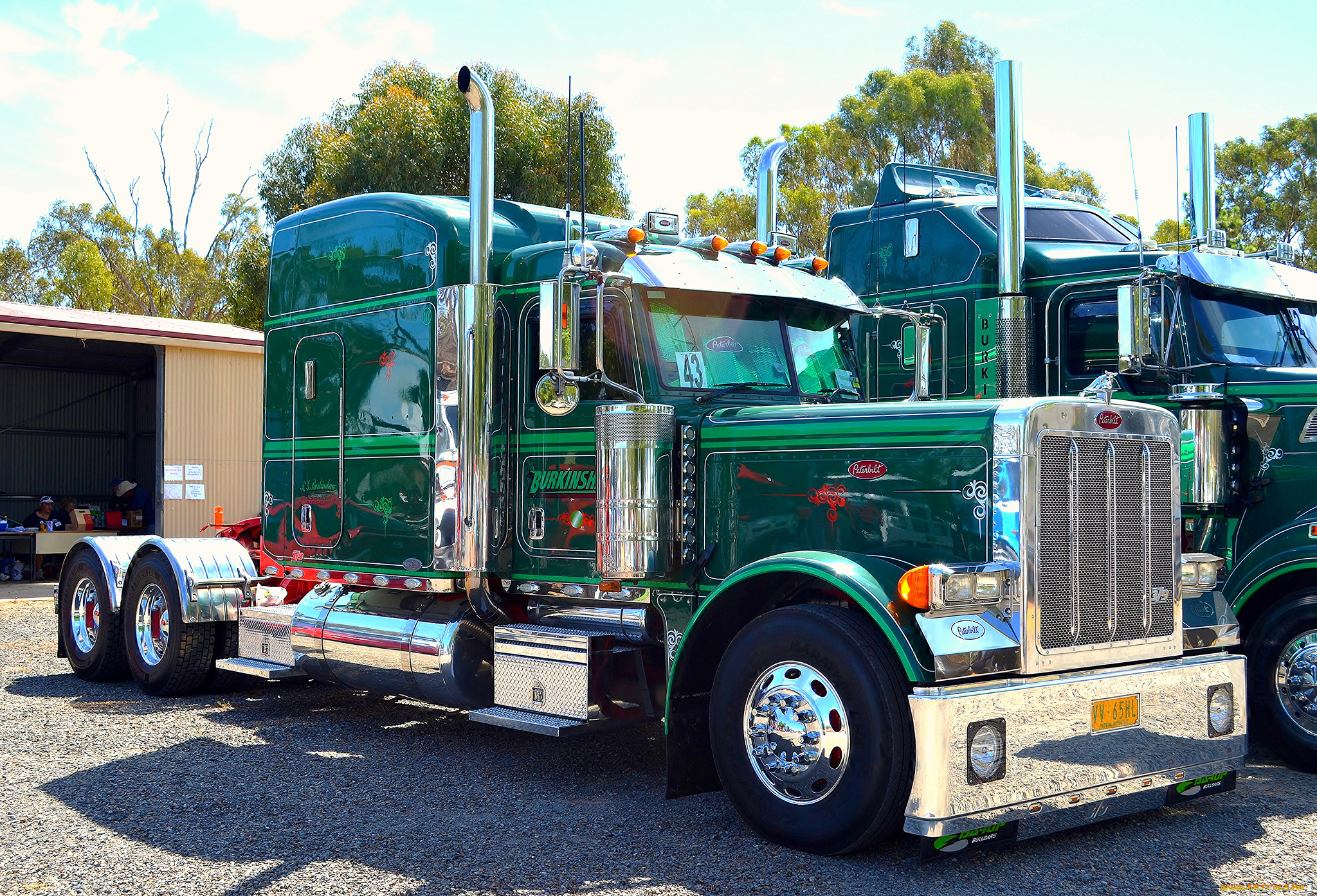 peterbilt, автомобили, сша, седельные, тягачи, классические, грузовики, motors, company