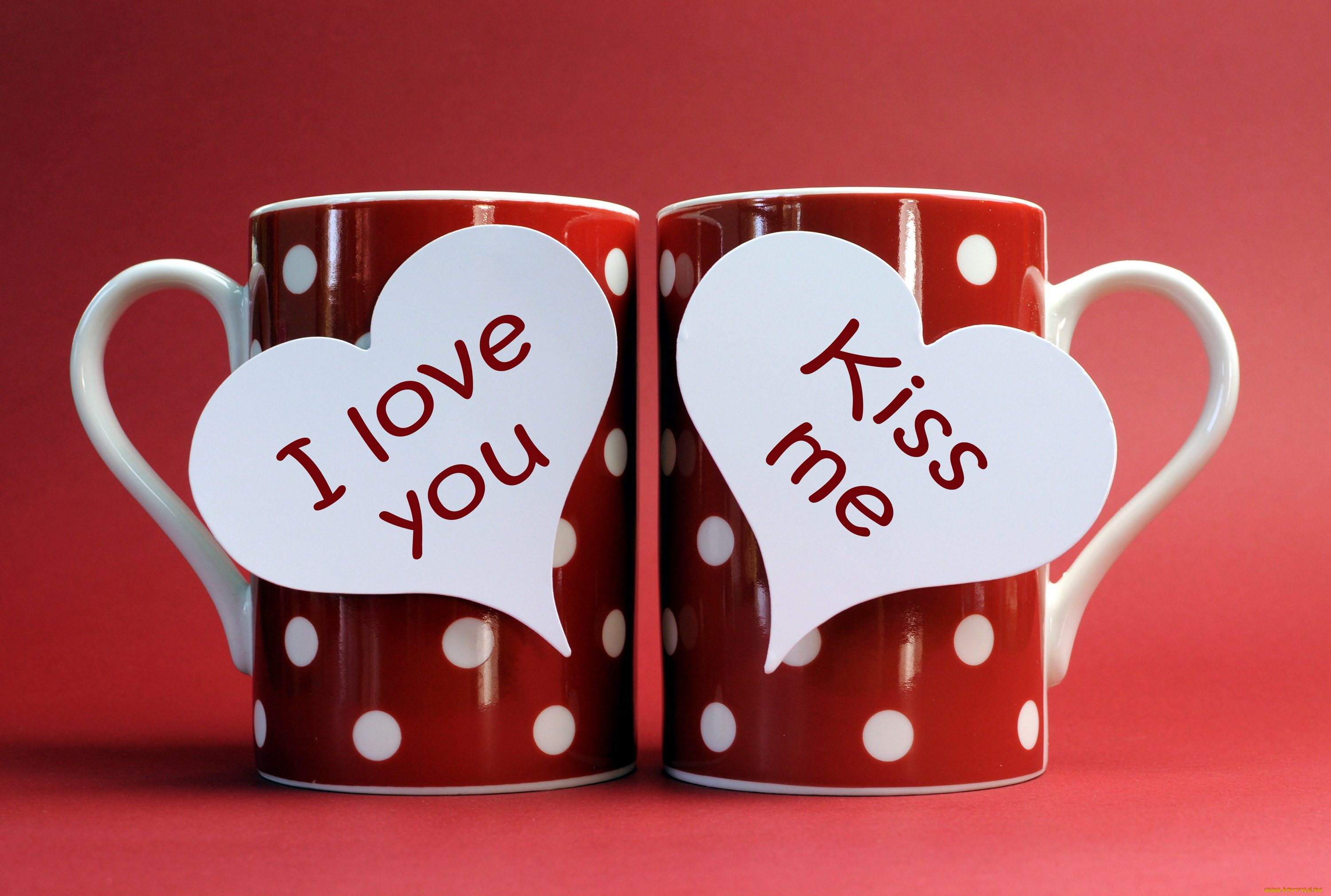 праздничные, день, святого, валентина, , сердечки, , любовь, чашки, признание