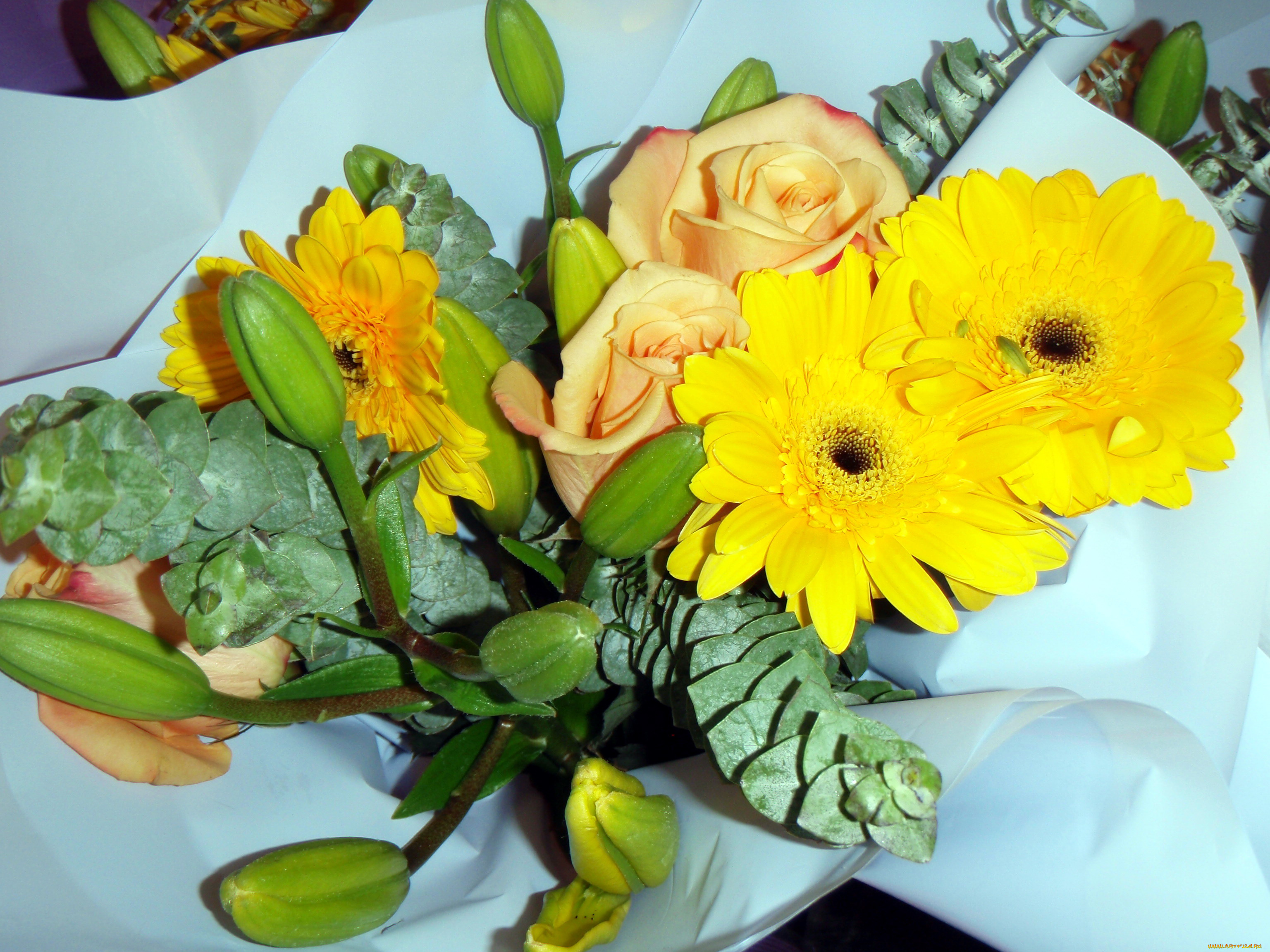 цветы, букеты, , композиции, розы, герберы, бутоны, лилия