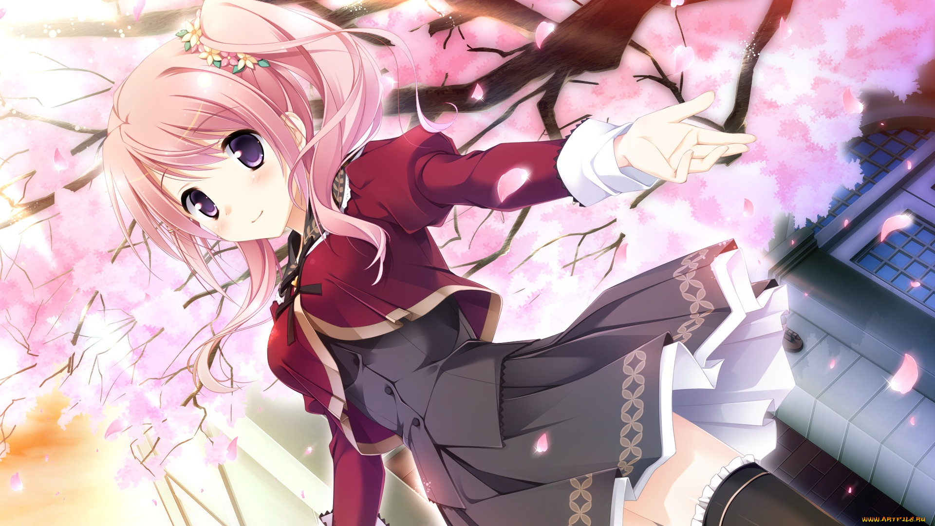 аниме, unknown, , другое, взгляд, цветы, сакура, девушка, kimishima, ao, komine, manami, sakura, mau, otome, no, rondo