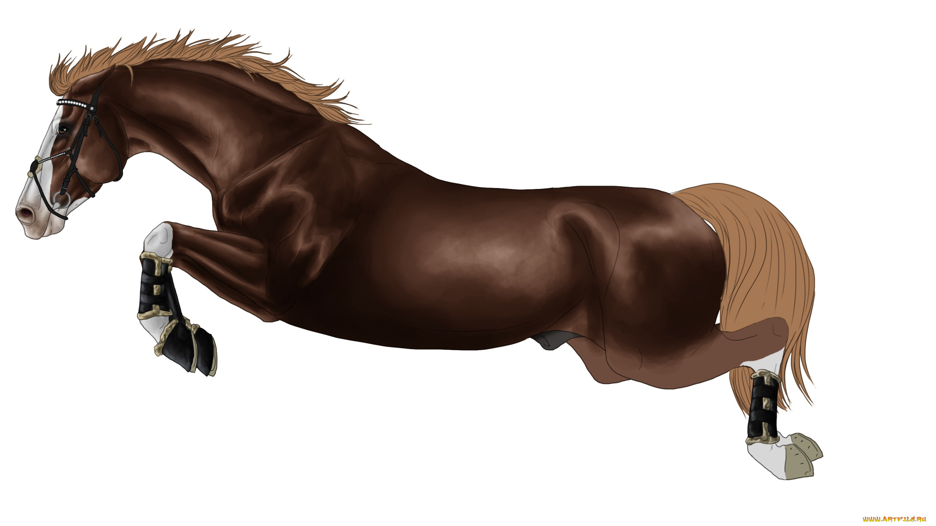 рисованное, животные, , лошади, фон, лошадь