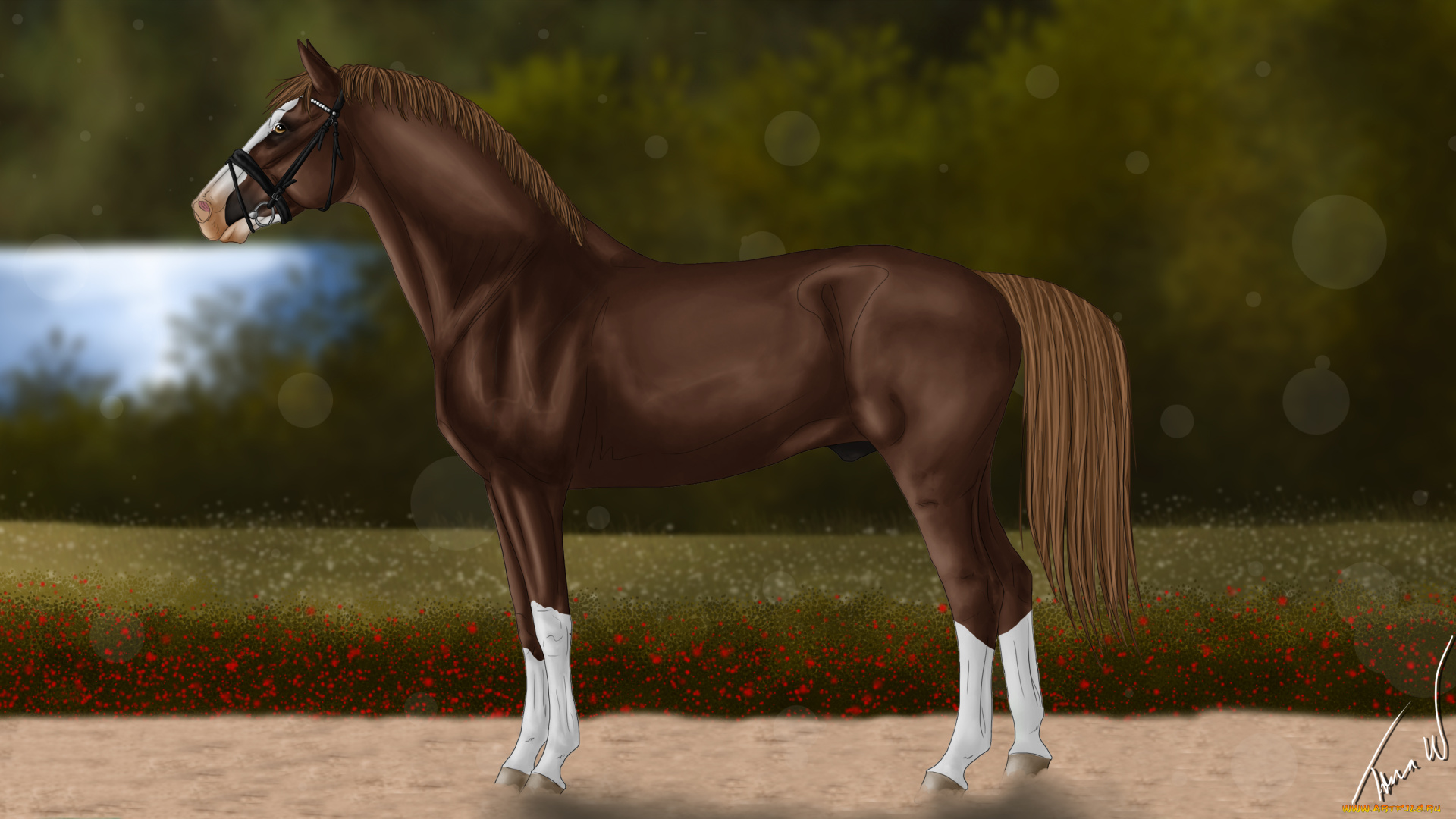 рисованное, животные, , лошади, фон, лошадь