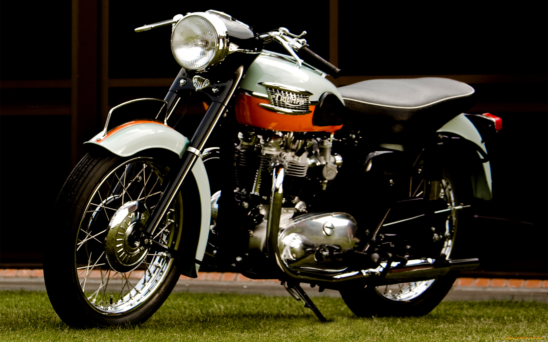 мотоциклы, triumph