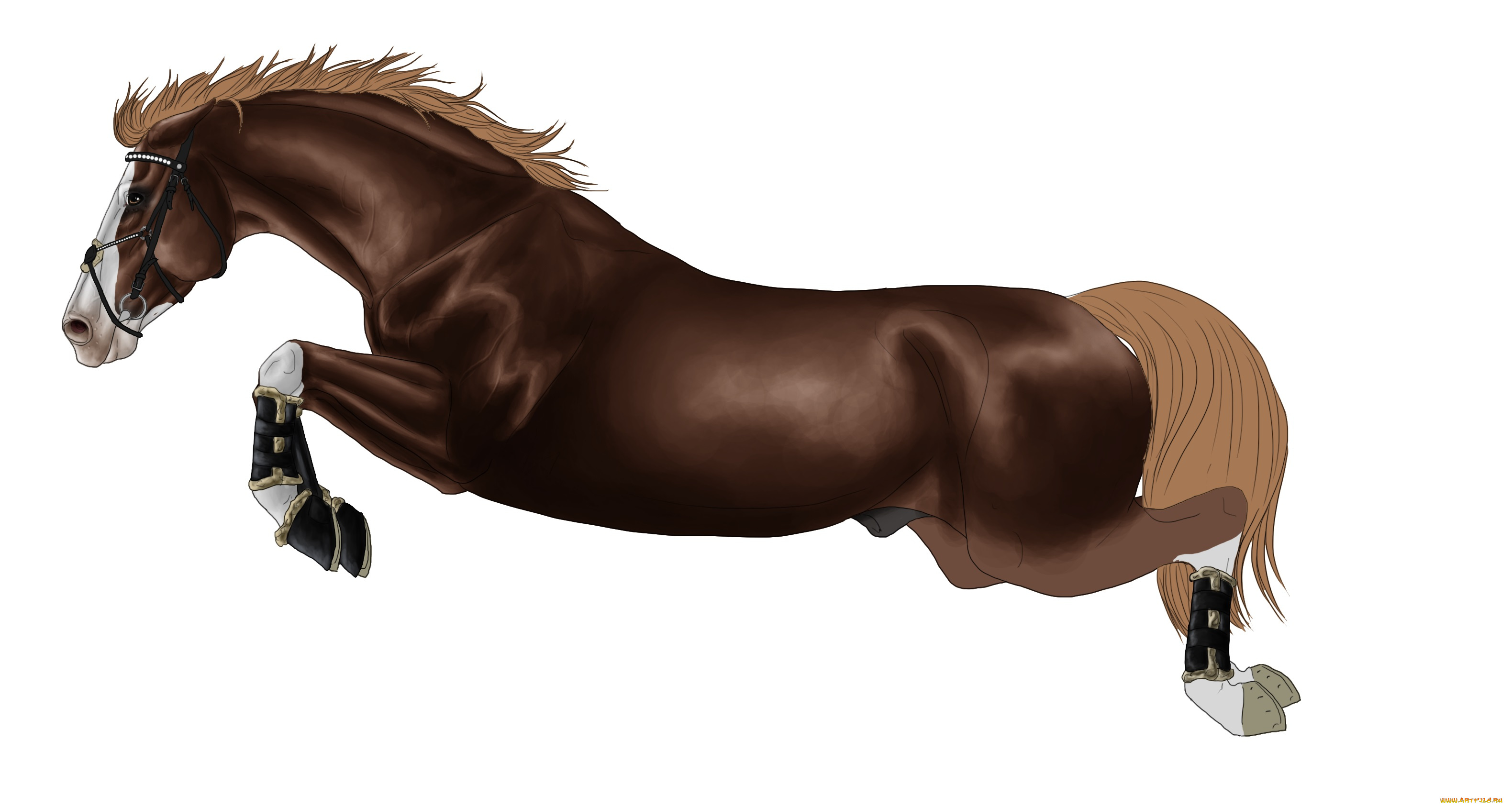 рисованное, животные, , лошади, фон, лошадь