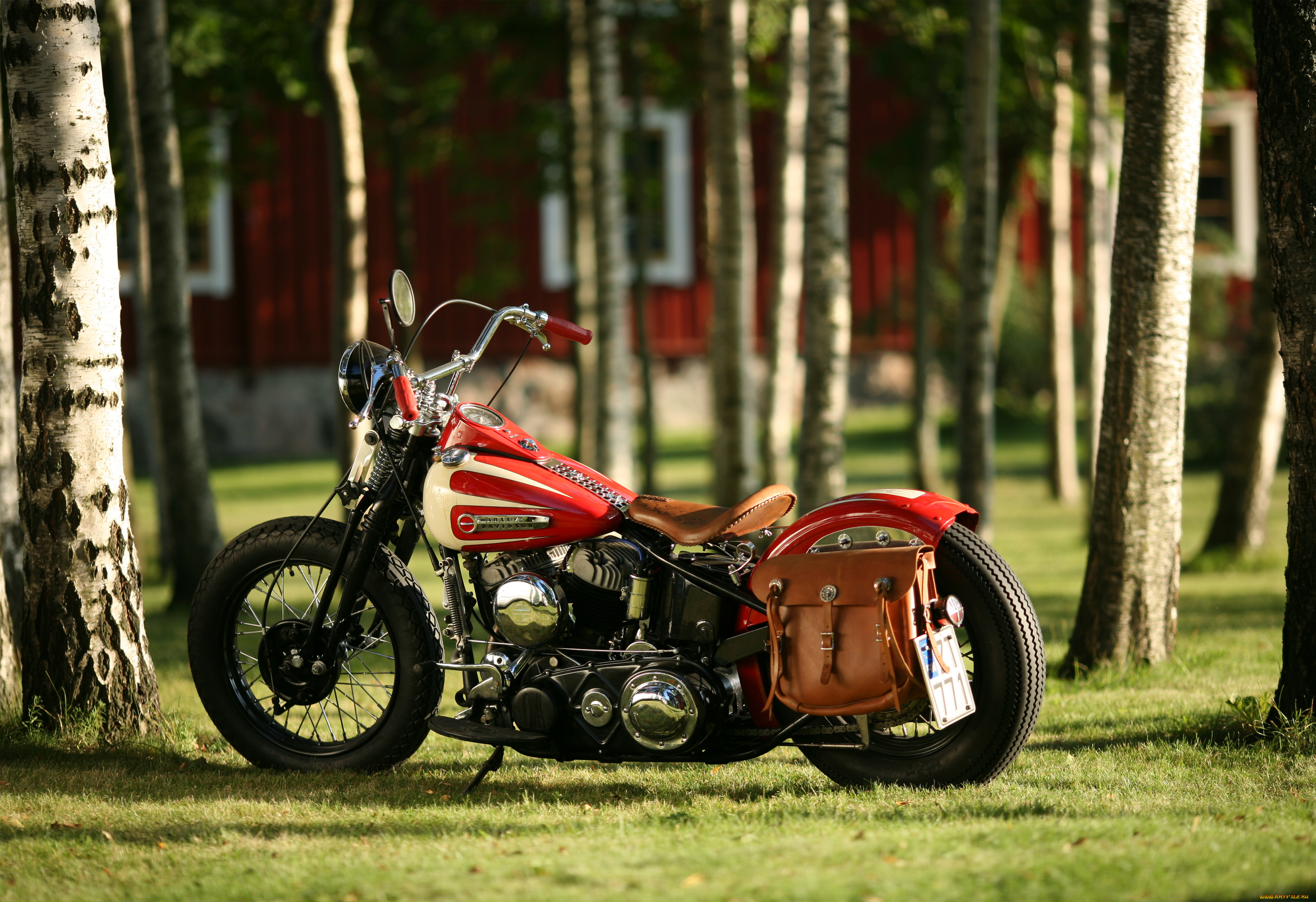 мотоциклы, harley-davidson, custom