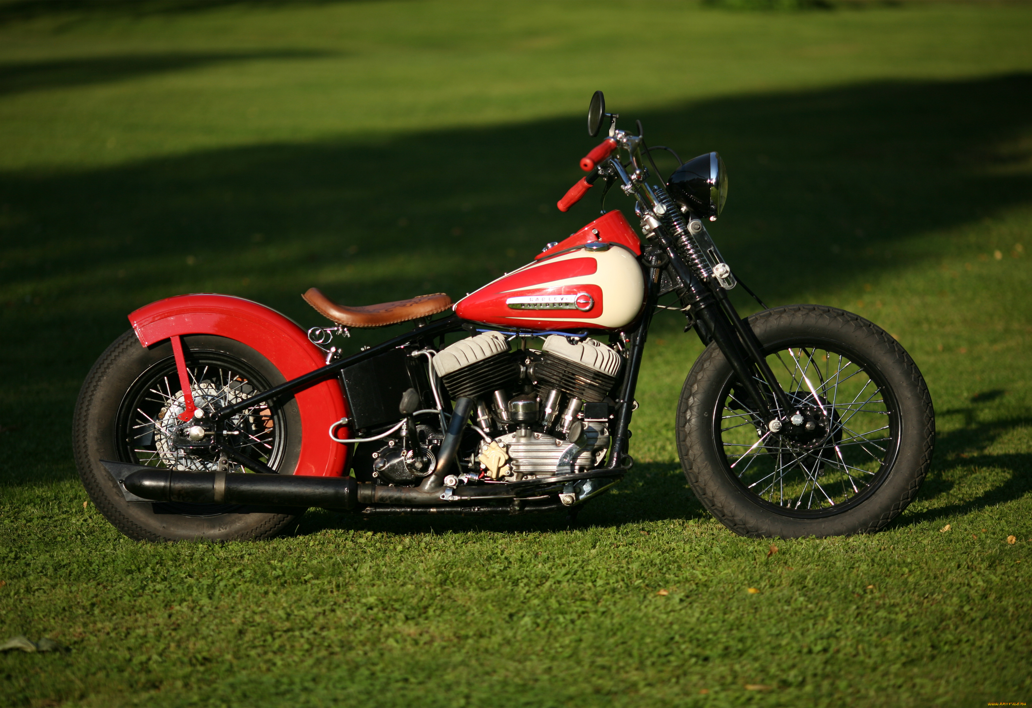 мотоциклы, harley-davidson, custom
