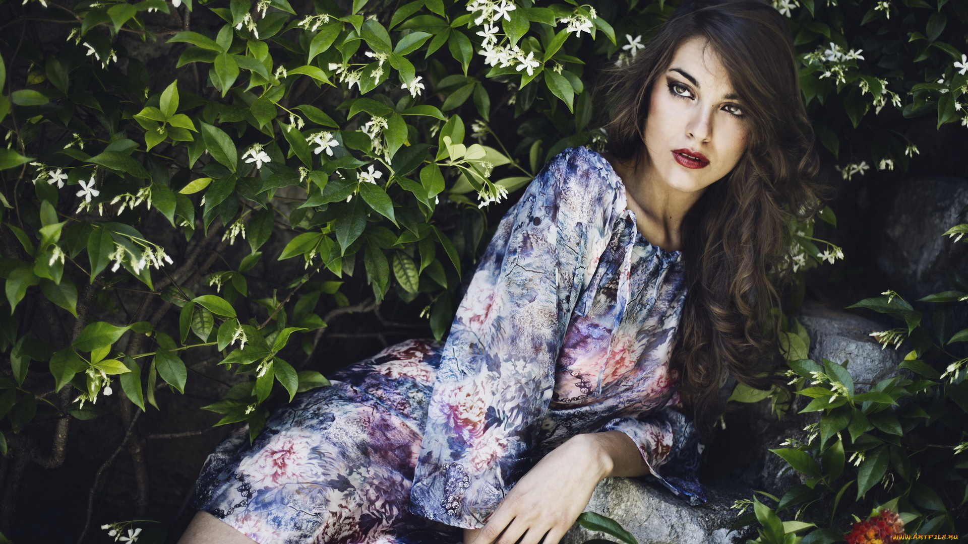 девушки, -unsort, , брюнетки, , шатенки, девушка, фон, взгляд