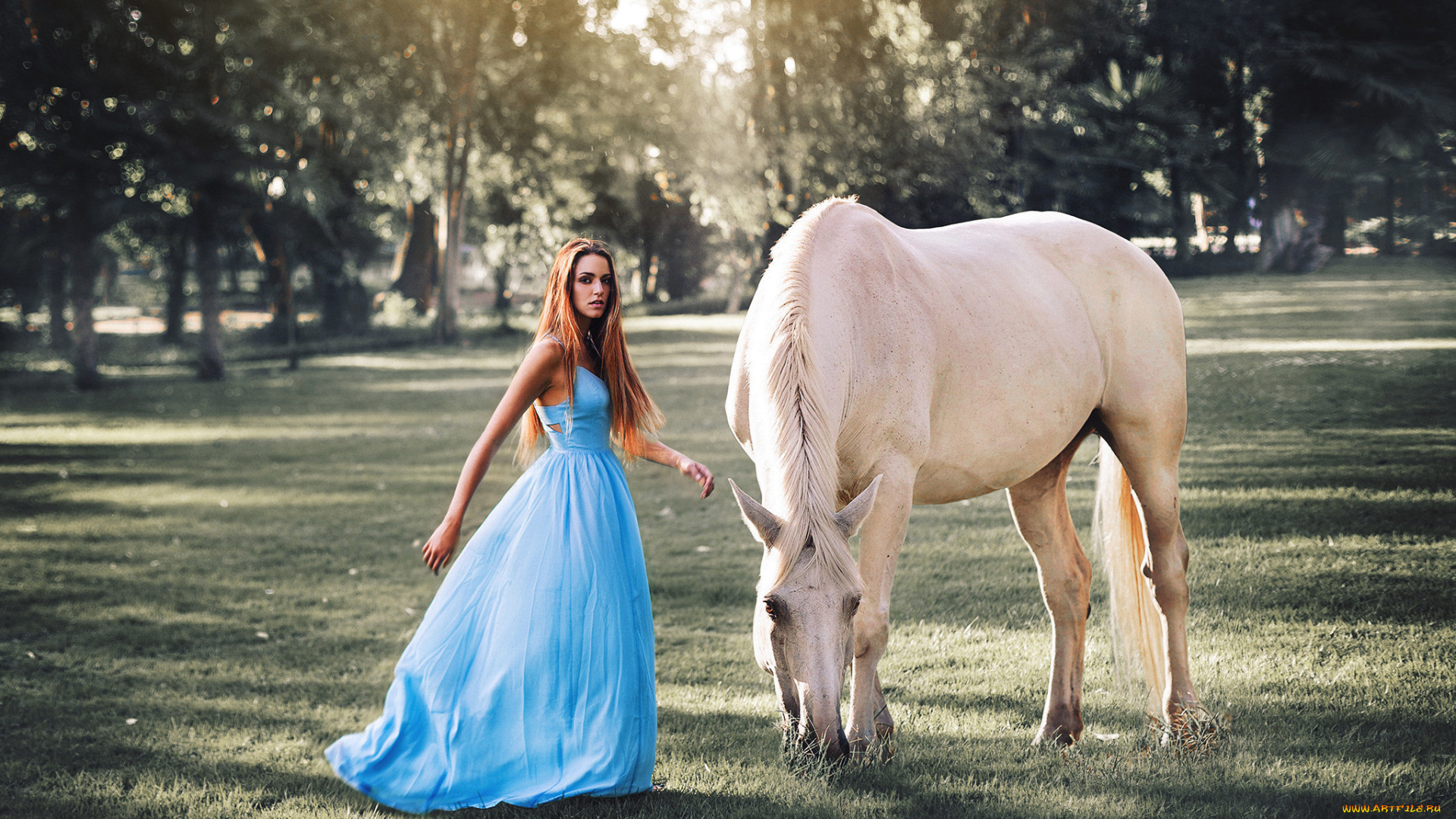 девушки, -unsort, , рыжеволосые, и, другие, конь, фон, девушка