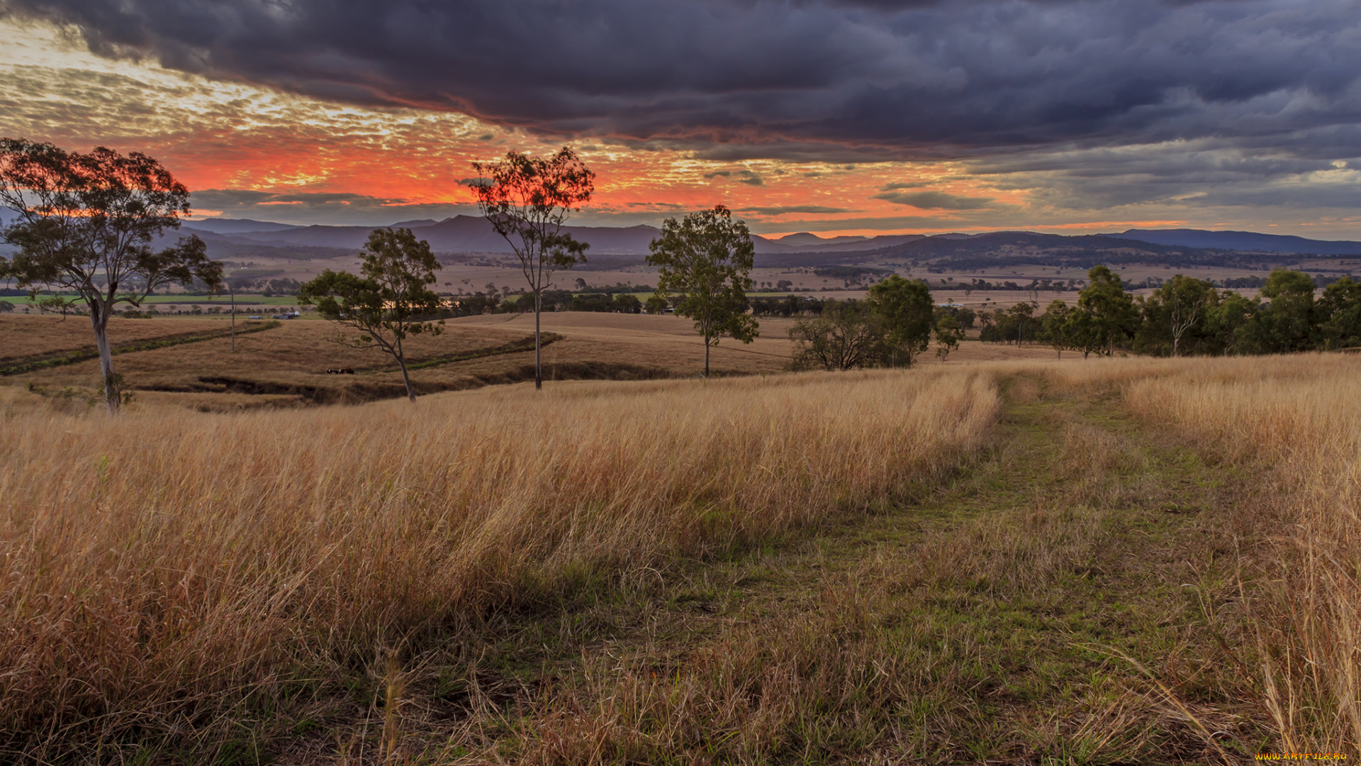 природа, дороги, рассвет