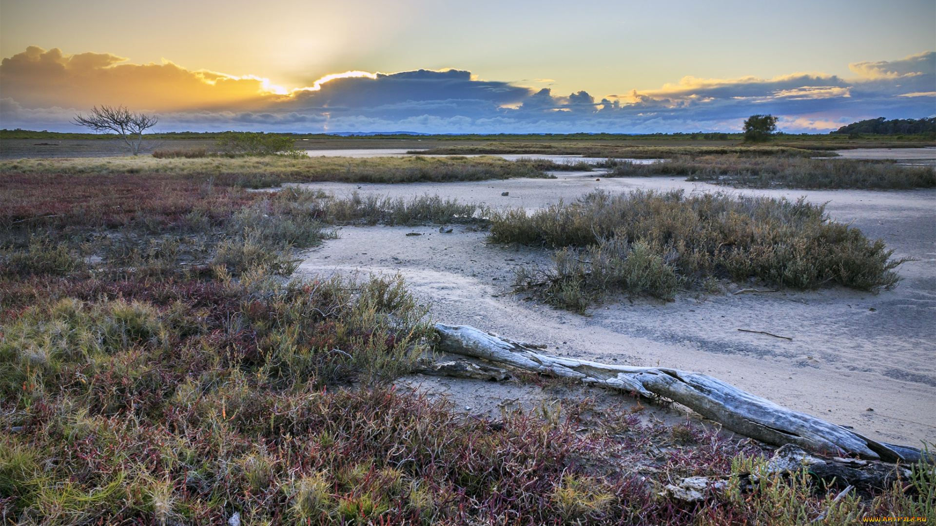 природа, пейзажи, рассвет