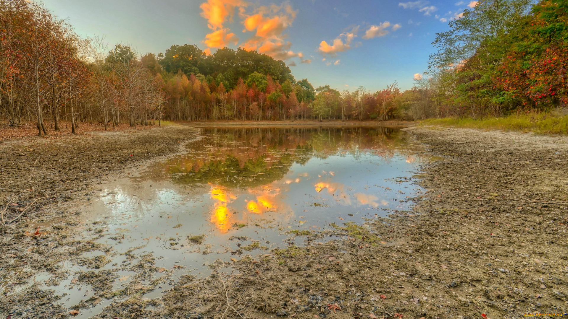 природа, реки, озера, лес, река