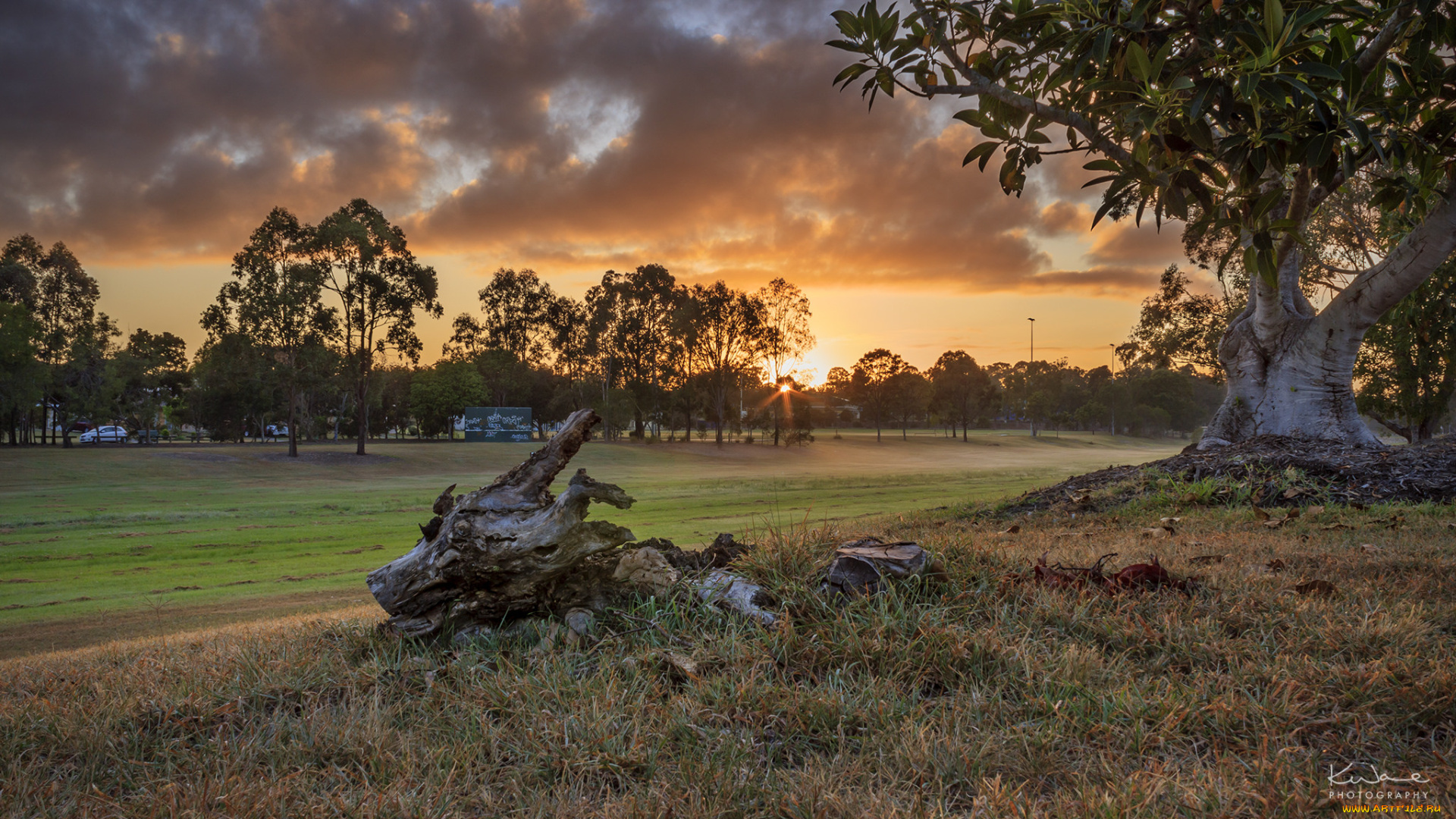 природа, восходы, закаты, рассвет