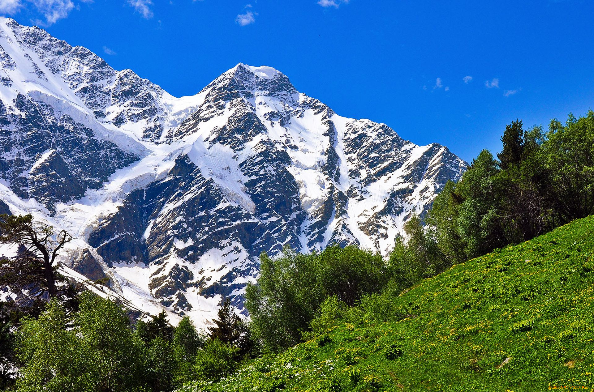 домбай, природа, горы, кавказ