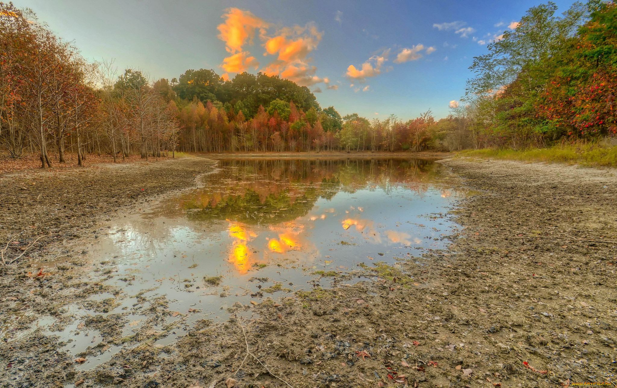 природа, реки, озера, лес, река