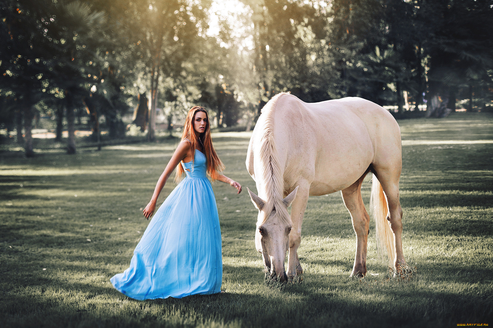 девушки, -unsort, , рыжеволосые, и, другие, конь, фон, девушка