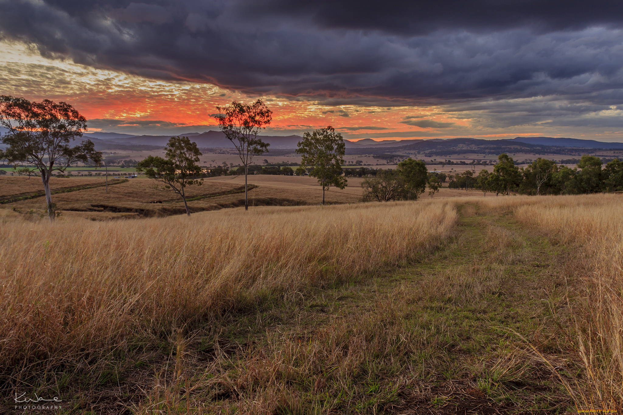 природа, дороги, рассвет