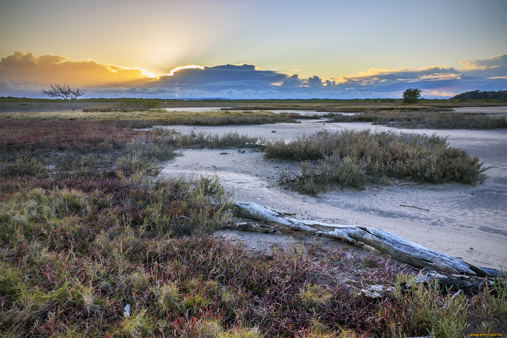 природа, пейзажи, рассвет